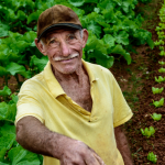 Experiências turísticas no campo têm novas regras