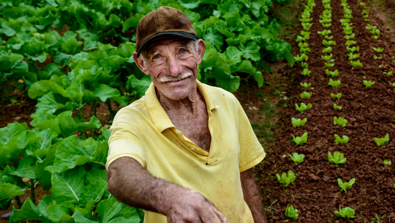 Experiências turísticas no campo têm novas regras
