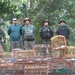 Operação do Ibama desmantela rede de tráfico de fauna e pesca ilegal no Nordeste