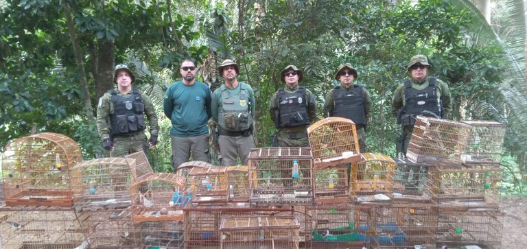 Operação do Ibama desmantela rede de tráfico de fauna e pesca ilegal no Nordeste