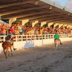 Corrida de Jegue agita o Parque Otaviano Pessoa em Macaíba, com alegria, descontração e muito forró